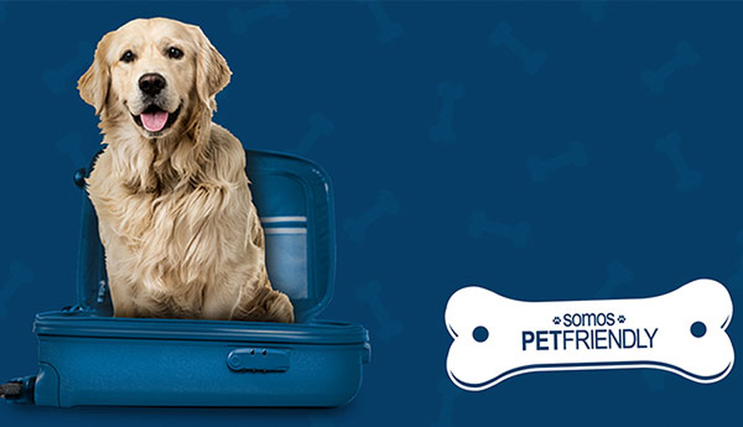 ¿quieres viajar con tu mascota? Hotel ILUNION San Mamés Bilbao